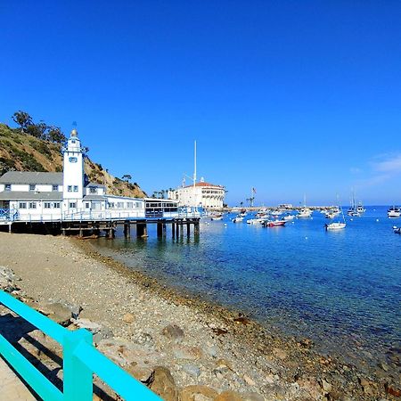 Lux Oceanfront Villa With Breathtaking Views Avalon Bagian luar foto