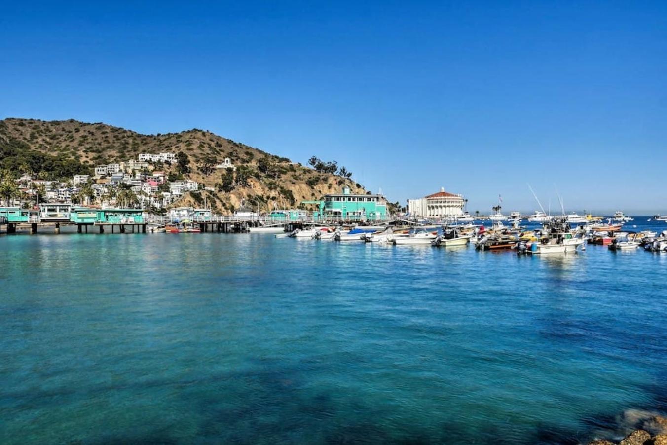 Lux Oceanfront Villa With Breathtaking Views Avalon Bagian luar foto